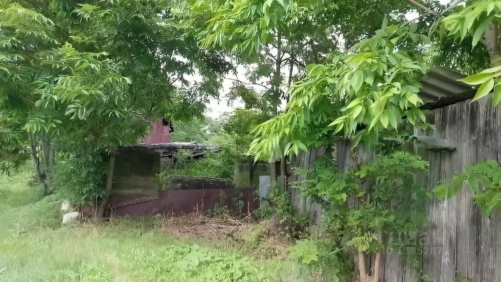 Участок в Приморский край, Владивостокский городской округ, с. ... - Фото 1