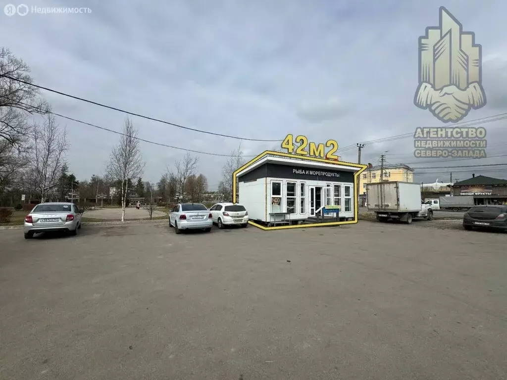 Помещение свободного назначения (42 м) - Фото 1