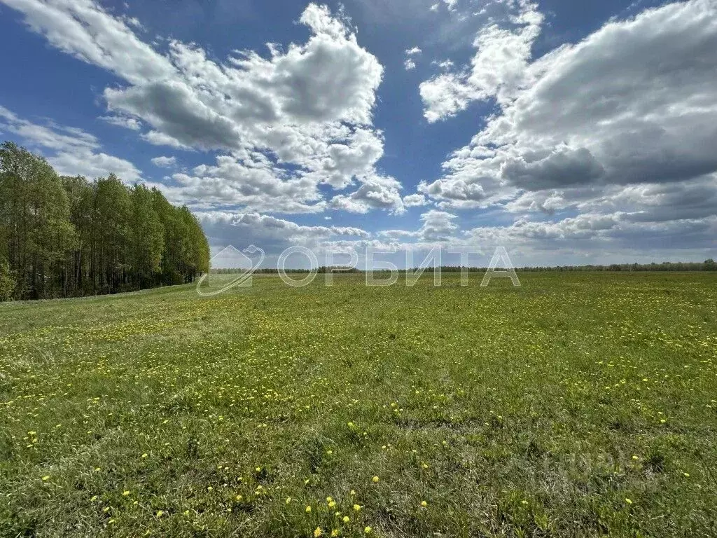 участок в тюменская область, тюмень ул. червишевский тракт (1800.0 . - Фото 0