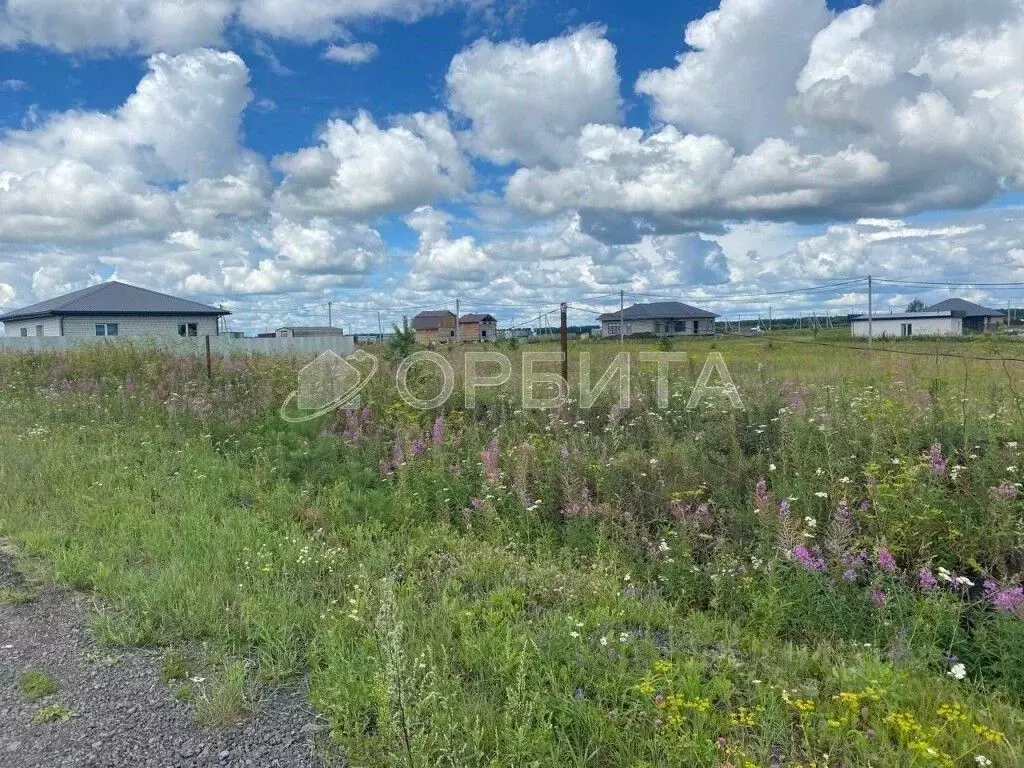 Участок в Тюменская область, Тюменский муниципальный округ, с. Луговое ... - Фото 2