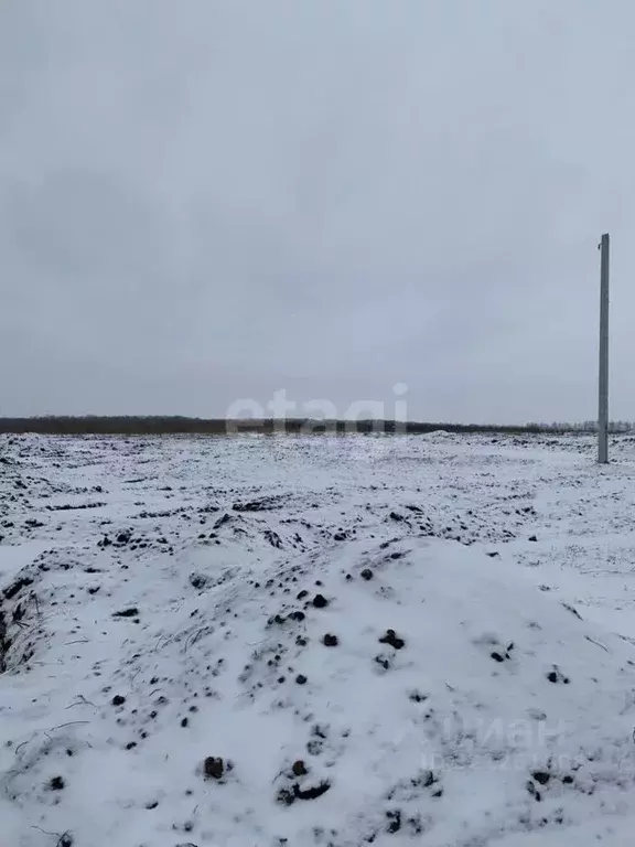 Участок в Белгородская область, Белгородский район, Головинское с/пос, ... - Фото 1