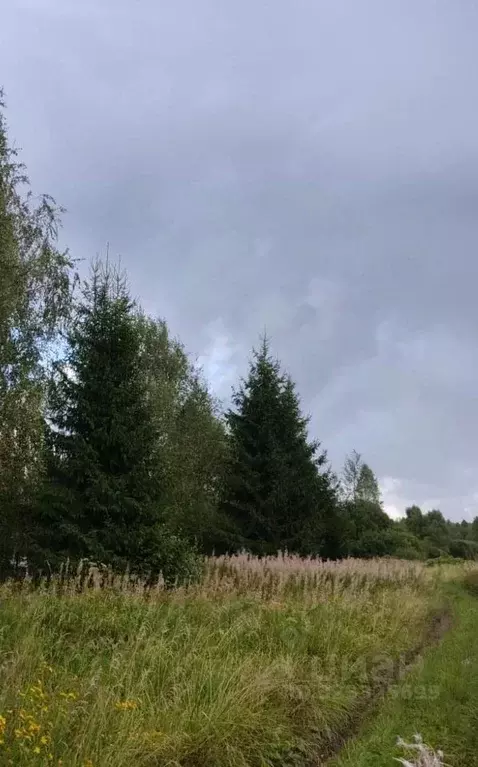 Участок в Московская область, Можайский муниципальный округ, д. ... - Фото 1