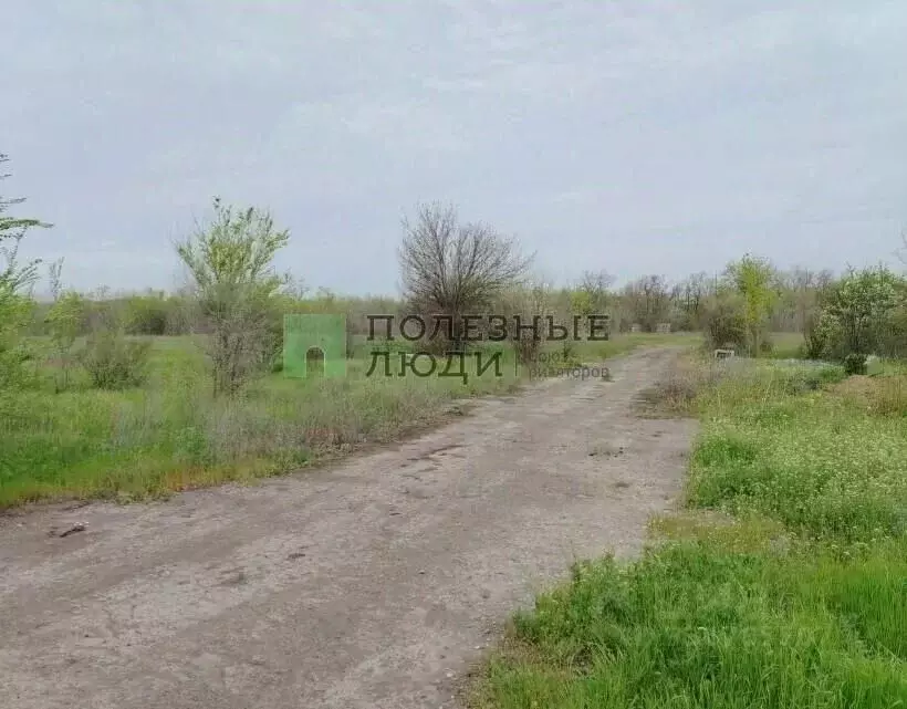Участок в Ростовская область, Семикаракорский район, Кочетовская ст-ца ... - Фото 1