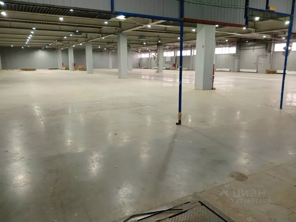 Склад в Воронежская область, Воронеж ул. Урывского, 6Б (7000 м) - Фото 1