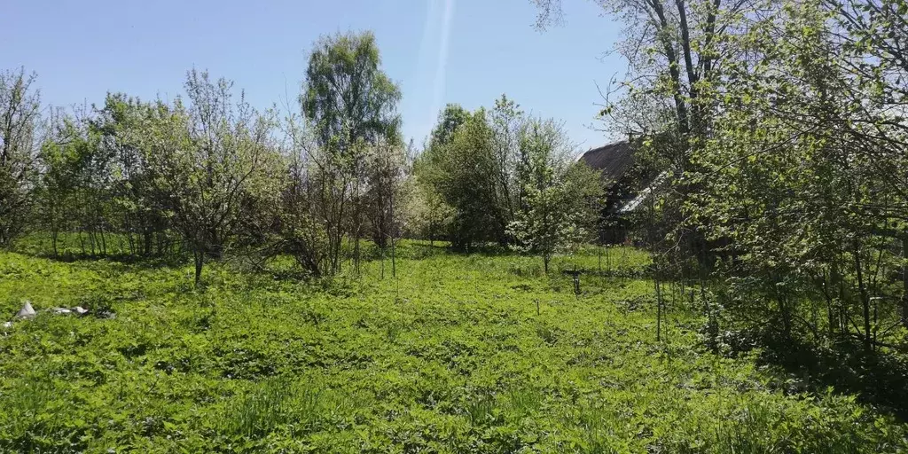 Участок в Новгородская область, Окуловка ул. Коминтерна, 49 (14.0 ... - Фото 2