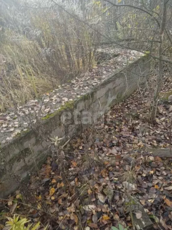 Участок в Калужская область, Кондрово Дзержинский район, ул. Юбилейная ... - Фото 1