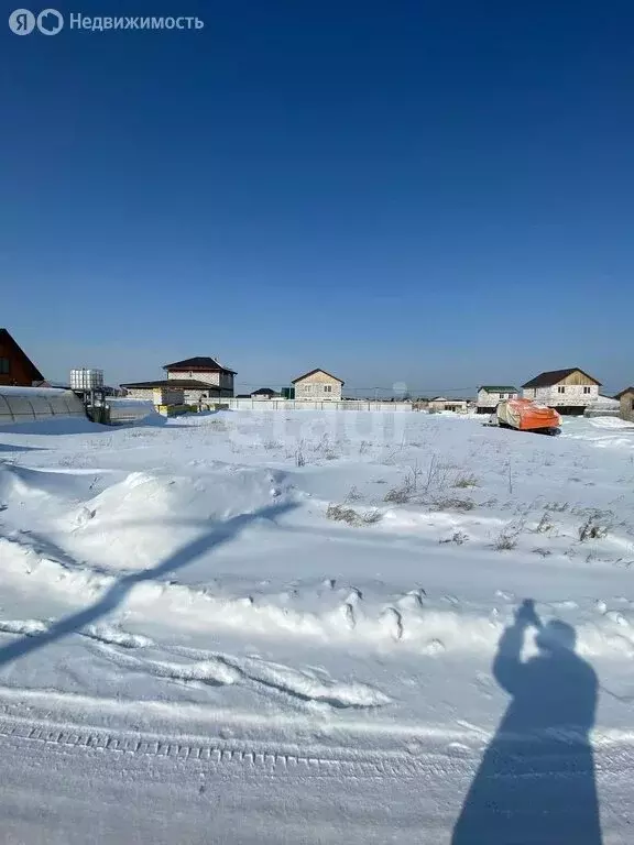 Участок в Новосибирский район, Барышевский сельсовет, посёлок Двуречье ... - Фото 1