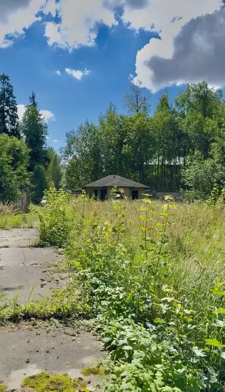 Участок в Московская область, Одинцовский городской округ, ... - Фото 0