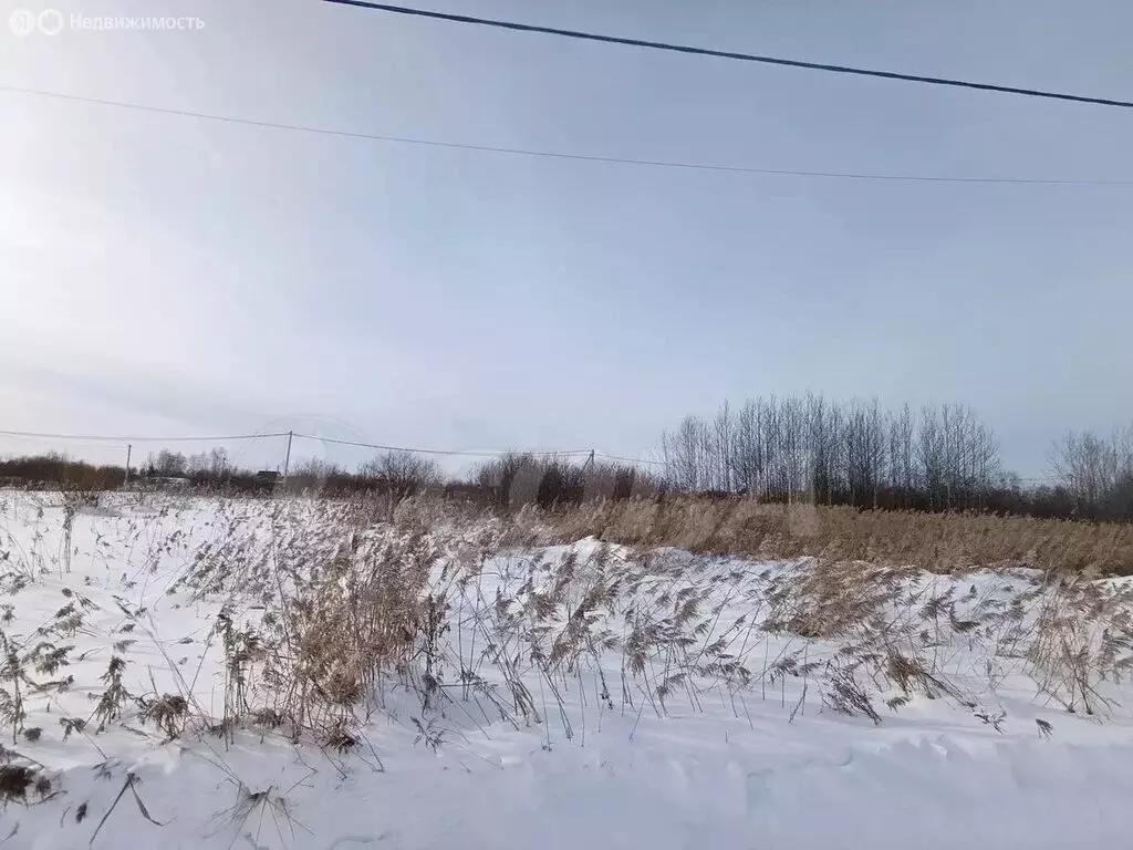 Участок в Тюмень, садовое товарищество Поле Чудес-2 (7.8 м) - Фото 2