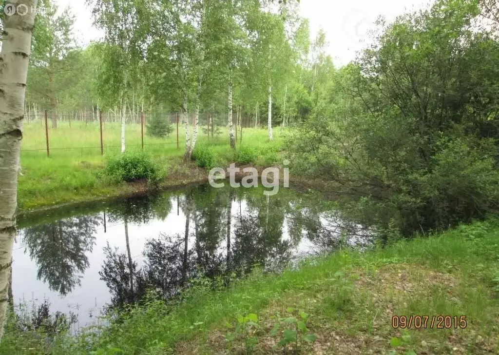 Участок в Орехово-Зуевский городской округ, СНТ Ихтиандр (10 м) - Фото 0