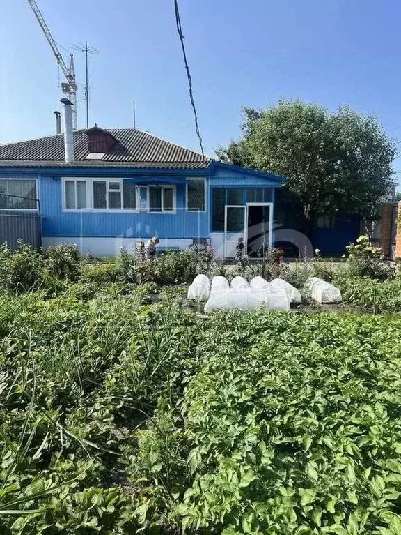 Дом в Воронежская область, Россошь ул. Льва Толстого, 13 (70 м) - Фото 1