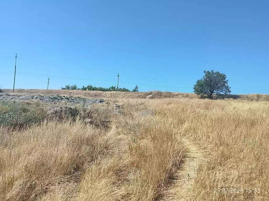 Участок в Крым, Кировский район, Старый Крым городское поселение пл. ... - Фото 1