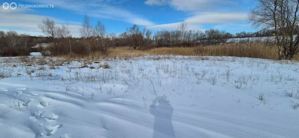 Участок в Энгельсский район, Красноярское муниципальное образование, ... - Фото 2