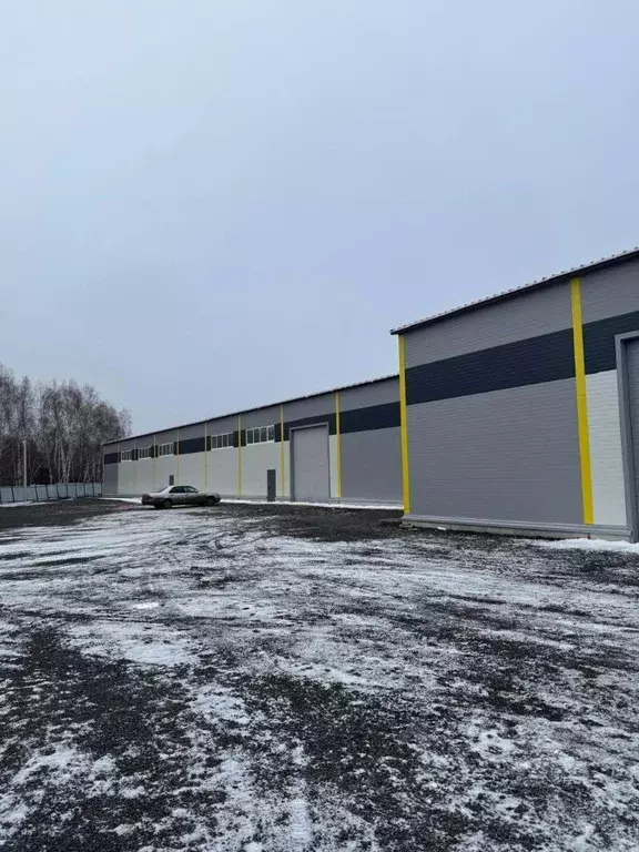 Склад в Московская область, Домодедово городской округ, д. Шахово 11 ... - Фото 1