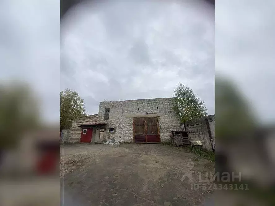 Помещение свободного назначения в Брянская область, Клинцы Московская ... - Фото 2