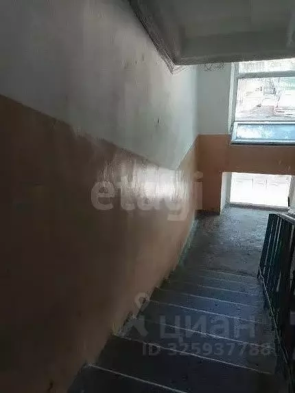 Комната Ростовская область, Таганрог ул. Пальмиро Тольятти, 36-3 (18.0 ... - Фото 1