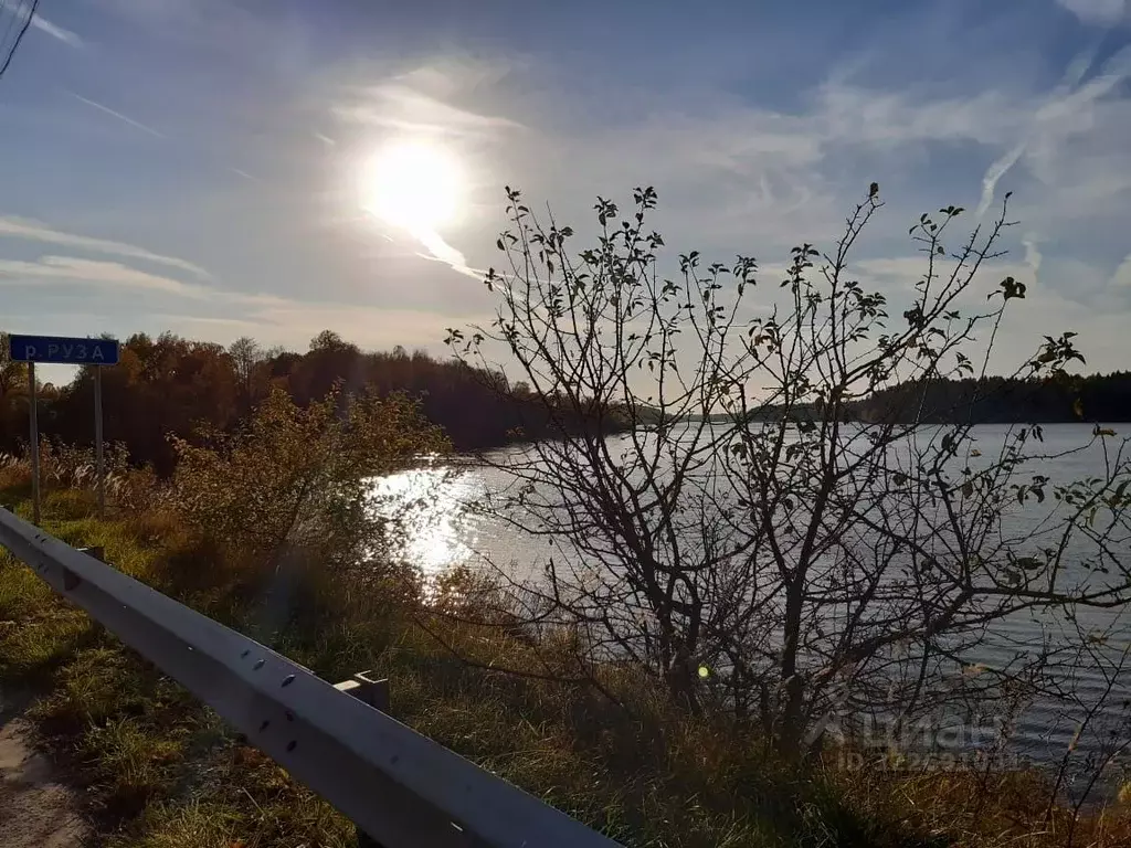 Участок в Калужская область, Жуковский муниципальный округ, Корсаково ... - Фото 1