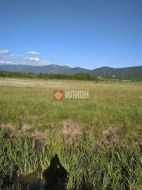 Участок в Севастополь с. Орлиное, ул. Рябиновая, 13 (190.0 сот.) - Фото 1