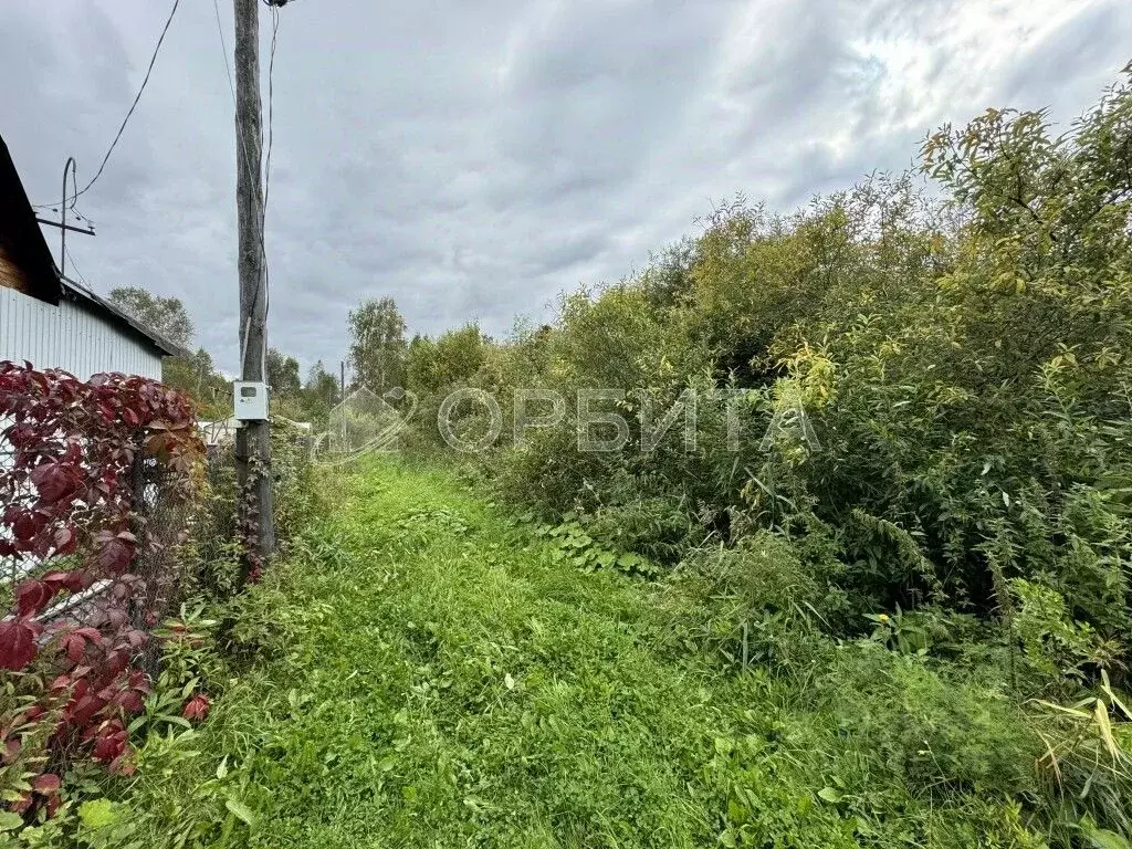 Участок в Тюменская область, Нижнетавдинский район, Мечта ДНТ ул. 14-я ... - Фото 0