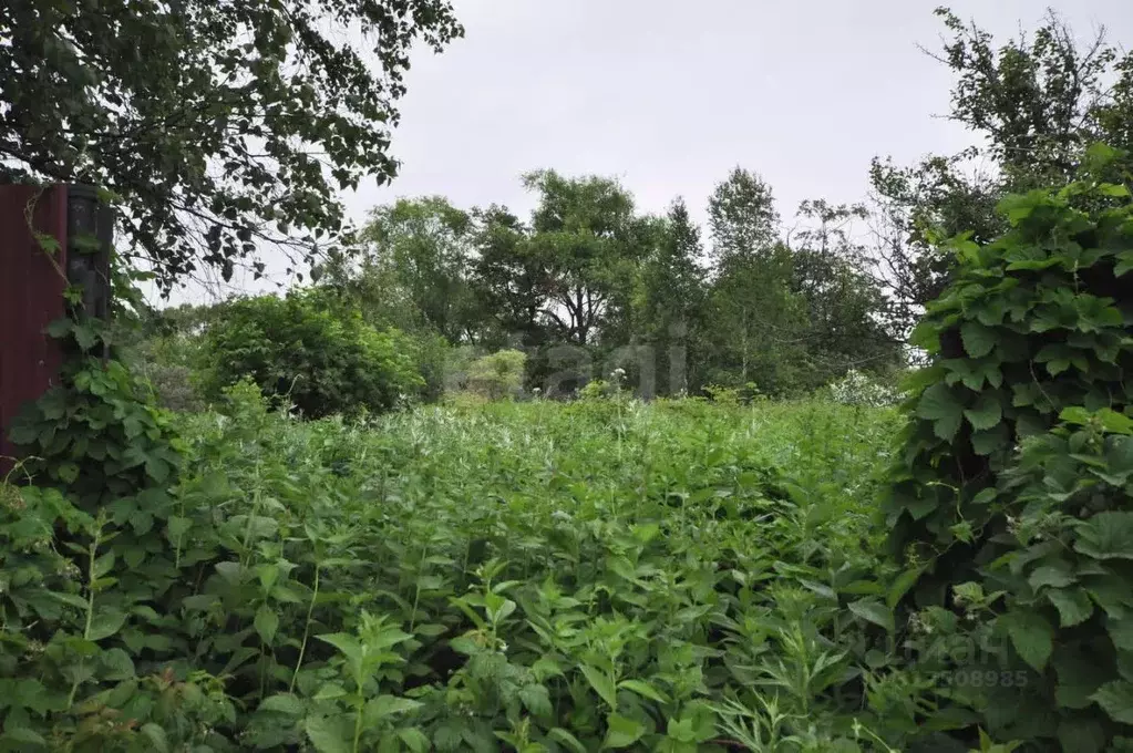 Участок в Сахалинская область, Южно-Сахалинск Картонажник СТ,  (7.6 ... - Фото 1
