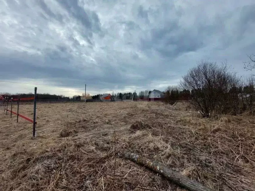 Участок в Вологодская область, Сокольский муниципальный округ, д. ... - Фото 2