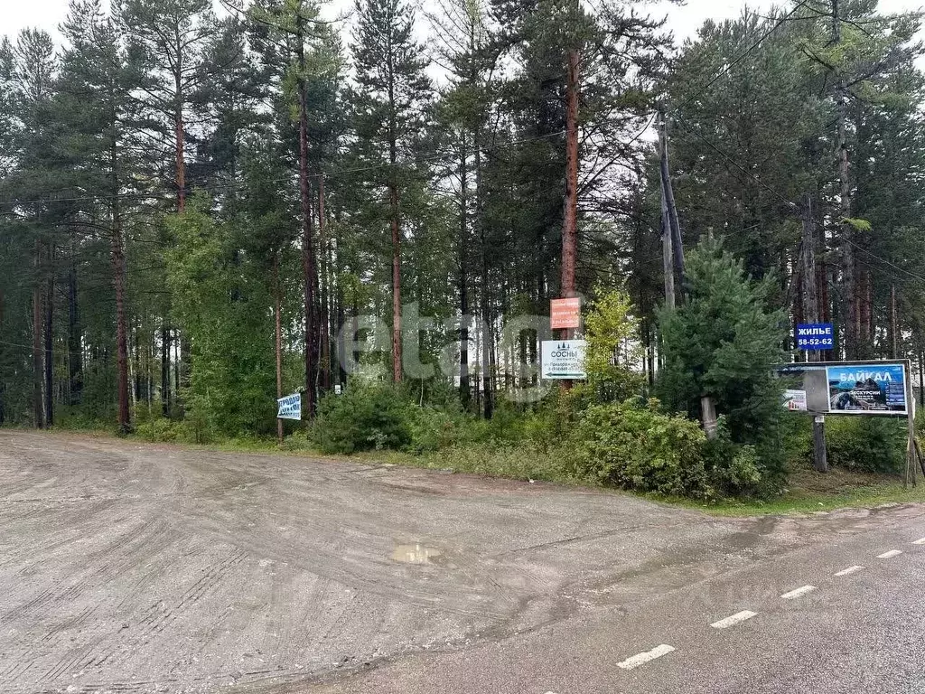 Участок в Бурятия, Прибайкальский район, с. Горячинск ул. Придорожная ... - Фото 1