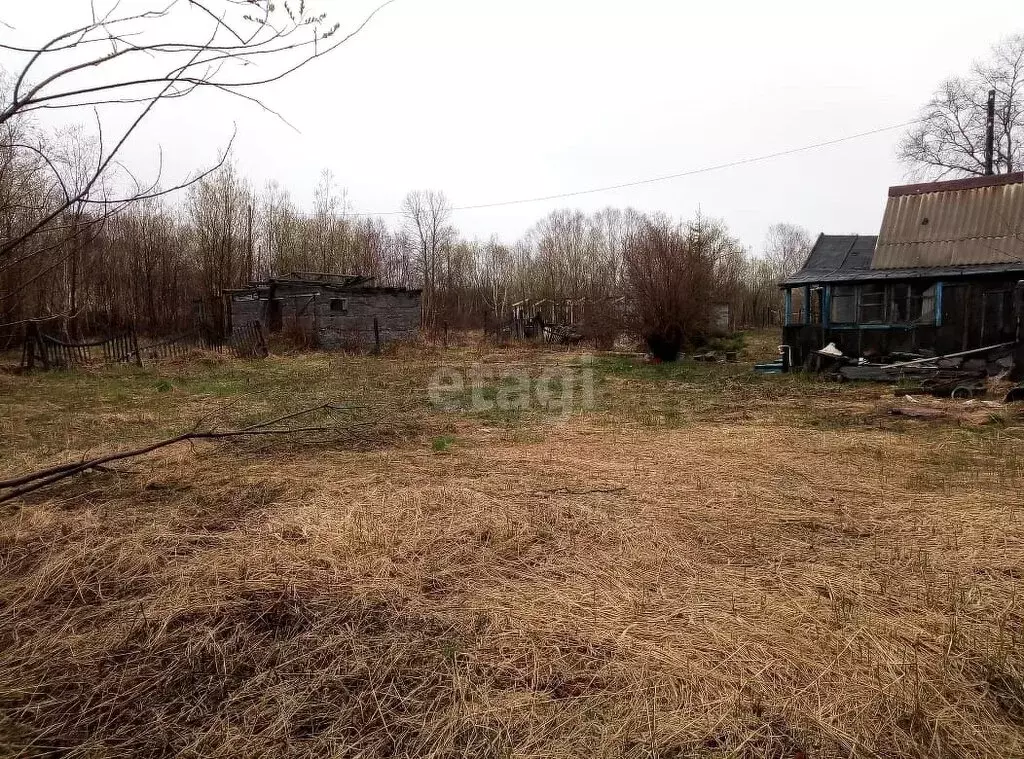 Участок в Елизовский район, СНТ Здоровье Елизовской центральной ... - Фото 1