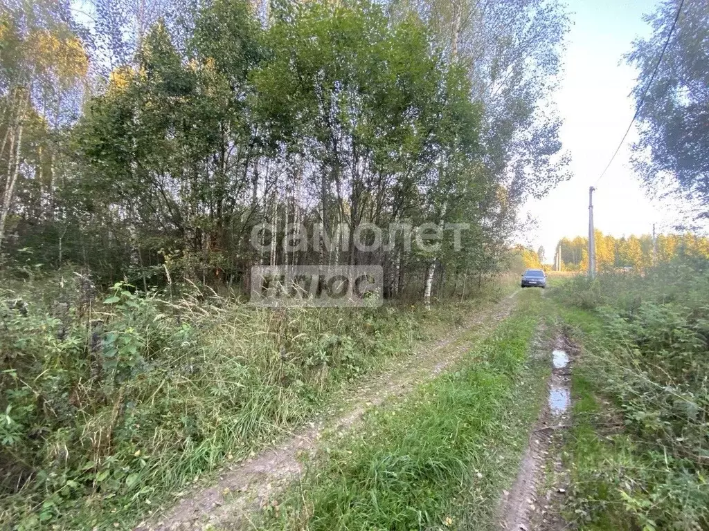 Участок в Ивановская область, Шуйский район, Остаповское с/пос, д. ... - Фото 1