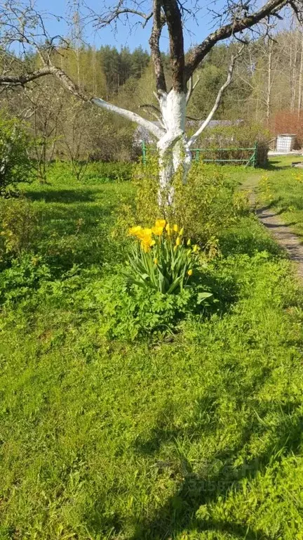 Дом в Ленинградская область, Тосненский район, Ульяновское городское ... - Фото 2