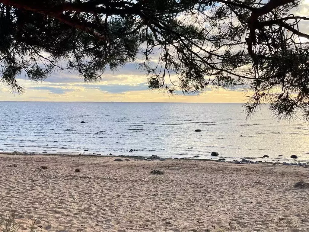 Дом в Санкт-Петербург пос. Репино, Лермонтовский просп., 5Б (97 м) - Фото 2