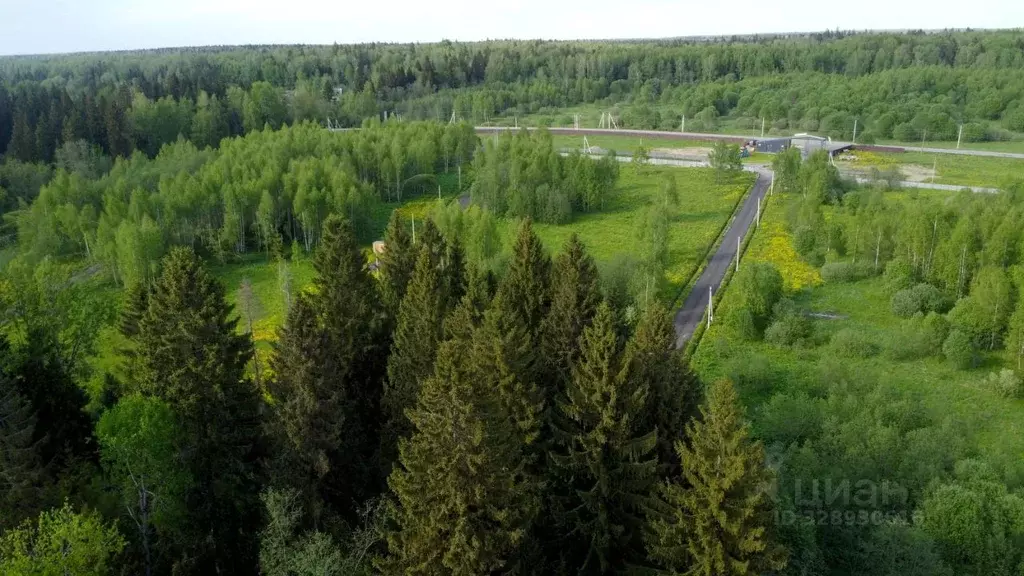 Участок в Московская область, Волоколамский муниципальный округ, ... - Фото 2