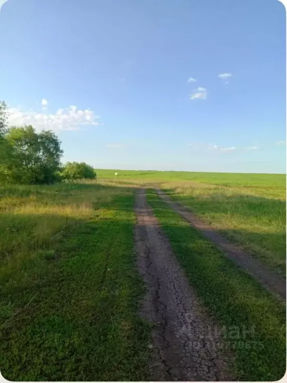 Участок в Смоленская область, Руднянский муниципальный округ, д. ... - Фото 1