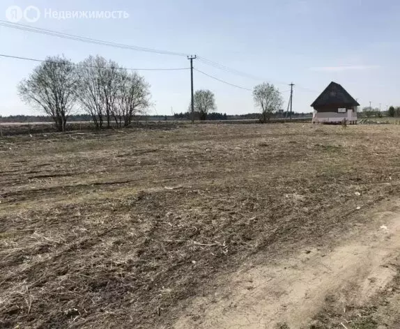 Участок в Волосовский район, Калитинское сельское поселение, посёлок ... - Фото 2