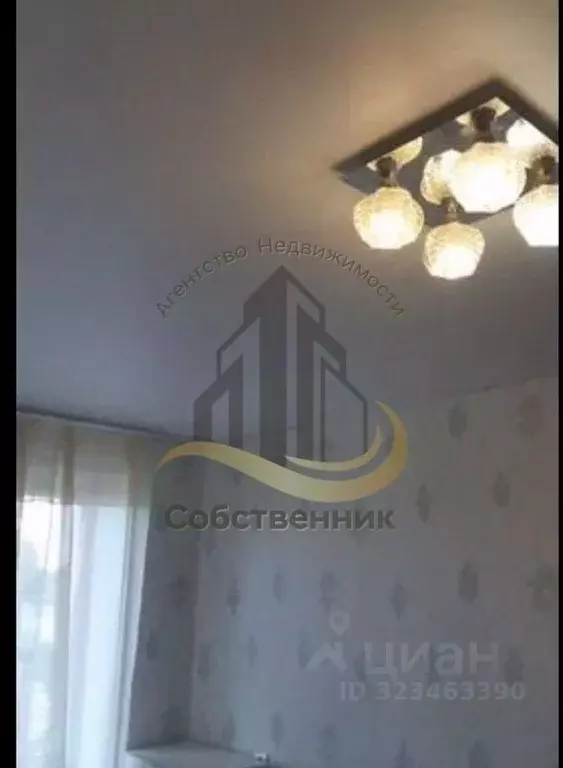 1-к кв. Белгородская область, Губкин ул. Фрунзе, 10А (39.0 м) - Фото 2