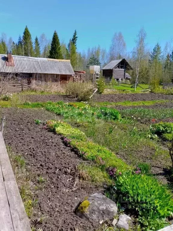 Дом в Коми, Сыктывдинский район, с. Выльгорт, Речник садоводческое ... - Фото 1