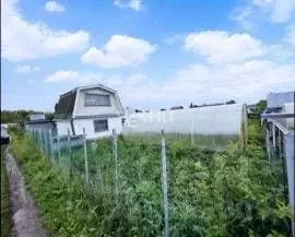 Участок в Нижегородская область, Богородский муниципальный округ, ... - Фото 1