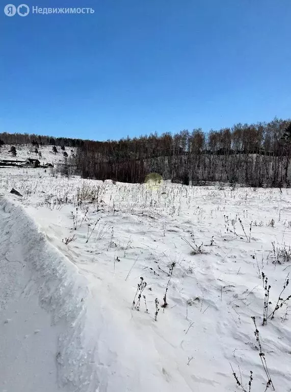 Участок в Иркутский муниципальный округ, деревня Столбова (10 м) - Фото 2