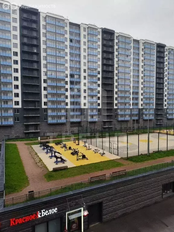 Квартира-студия: Мурино, Графская улица, 6к4 (21.3 м) - Фото 1