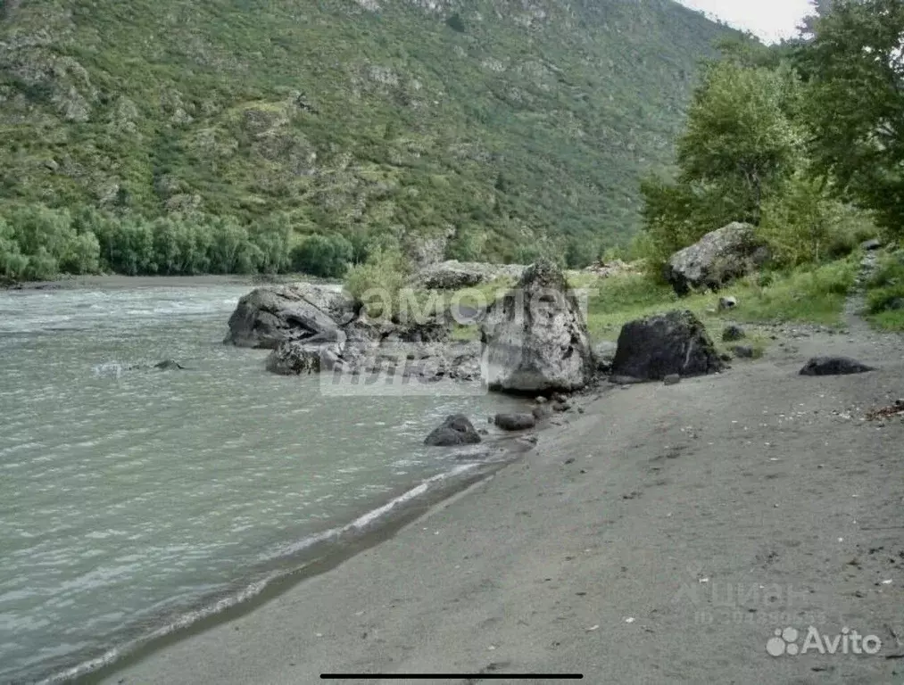 Участок в Алтай, Чемальский район, с. Куюс  (730.0 сот.) - Фото 1