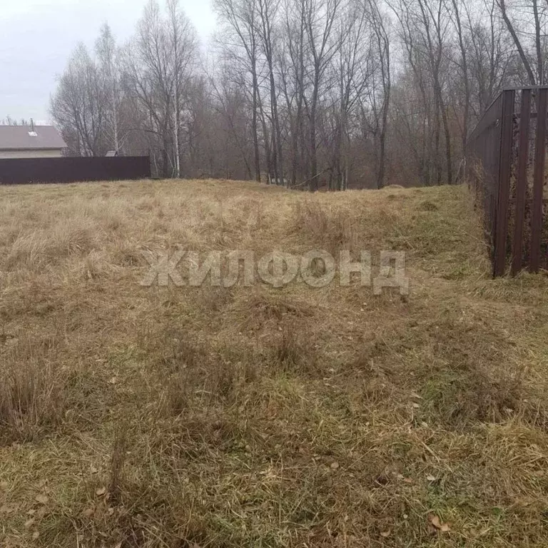 Участок в Новосибирская область, Колыванский район, д. Пристань-Почта  ... - Фото 2