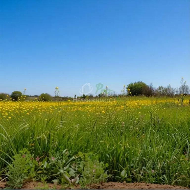 Участок в Краснодарский край, Ейск ул. Воронцова (6.0 сот.) - Фото 1