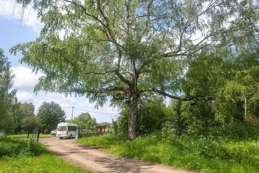 Участок в Ярославская область, Угличский муниципальный округ, с. ... - Фото 1