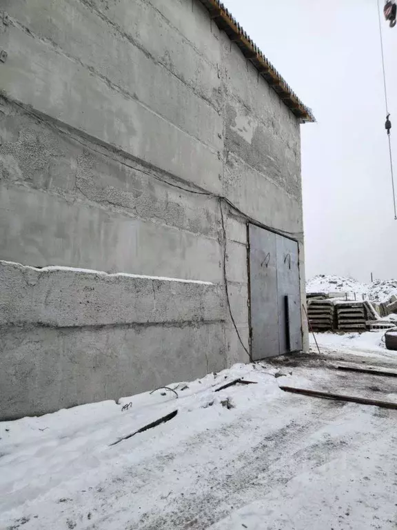 Склад в Алтайский край, Барнаул просп. Калинина, 51/3 (1190 м) - Фото 1