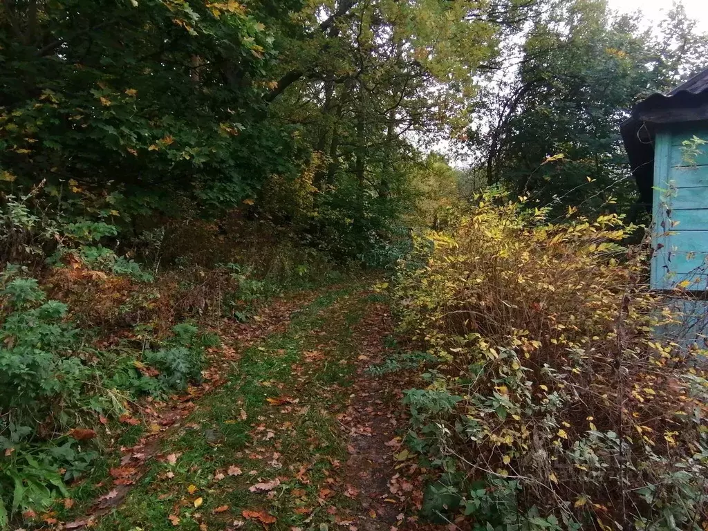 Участок в Владимирская область, Камешковский район, д. Пенкино ... - Фото 2