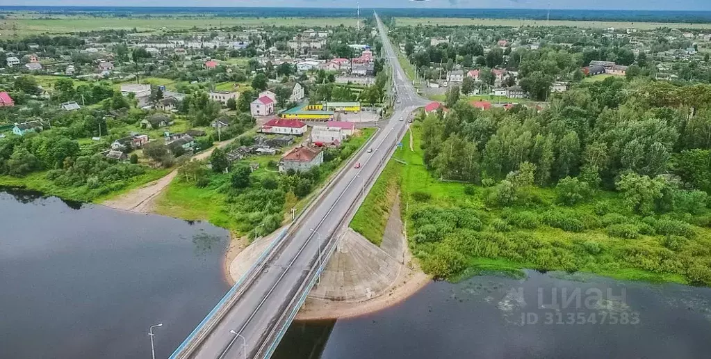 Участок в Новгородская область, Шимск рп ул. Свободы (15.0 сот.) - Фото 0