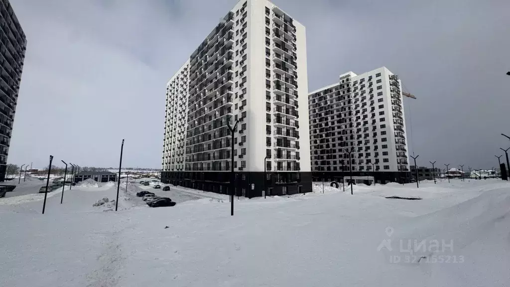 Студия Пензенская область, Пенза ул. Яшиной, 11 (35.2 м) - Фото 2