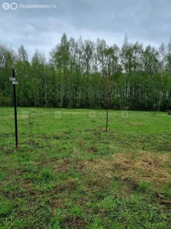 Участок в село Большие Кургузи, Красивая улица, 17 (12 м) - Фото 2