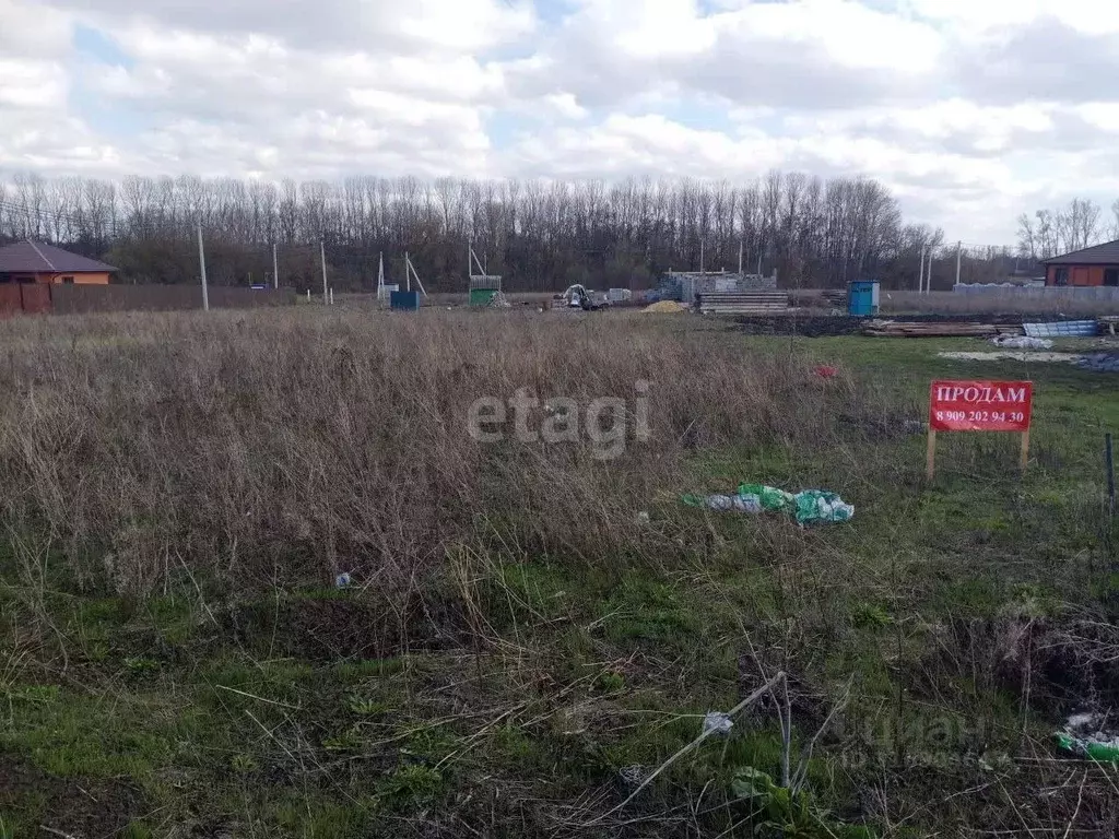 Участок в Белгородская область, Строитель Яковлевский городской округ, ... - Фото 1