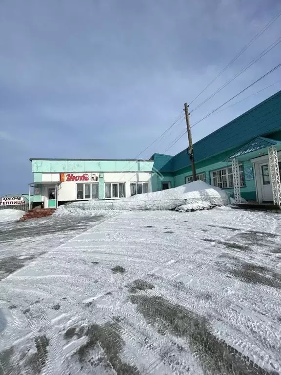 Торговая площадь в Алтайский край, Тогульский район, с. Тогул ... - Фото 2