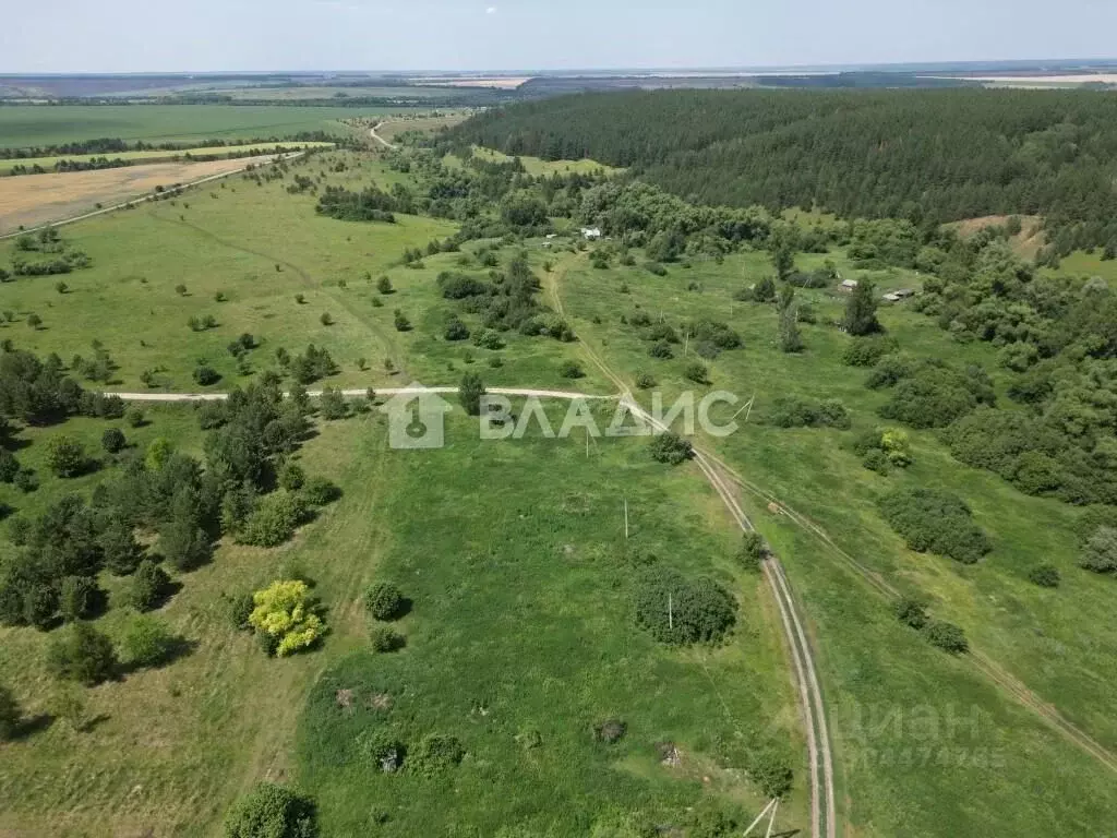 Участок в Пензенская область, Шемышейский район, д. Малыгино ул. ... - Фото 0